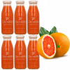 Grapefruitová šťava Sadvit 250 ml
