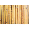 STREND PRO Plot Bambus BSF 2000 mm, L-5 m, štiepaný