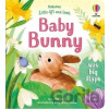 Little Lift and Look Baby Bunny - Anna Milbourneová