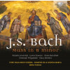 BACH,J.S.: Mass in B minor BWV232 - Messe BWV232 h-moll (2CD) (Roberta Invernizzi, Lynne Dawson, Gloria Banditelli, Christoph Pregardien, Klaus Mertens)