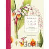 Botanical Drawing In Color - Wendy Hollender