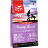 ORIJEN Dog Puppy Large 11,4kg