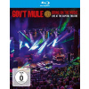 Gov't Mule, BRING ON THE MUSIC, Blu-ray
