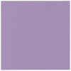 Obrúsky PAW AIRLAID 40x40 cm Monocolor Violet