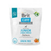 Brit Care Grain-free Junior Large Breed Salmon 1 kg