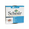 Schesir Tuniak v želé 150 g