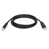 Tripplite Kabel USB-A/USB-B (Samec/Samec), USB 2.0, 1.83m