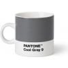 PANTONE Espresso Cool Gray 9 101040009 120 ml