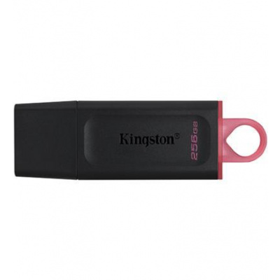 KINGSTON 256GB DataTraveler Exodia USB 3.2 (DTX/256GB) 256GB / USB 3.2