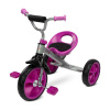 TOYZ Detská trojkolka York purple 77x48x66 fialová
