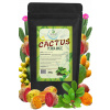 YERBA MATE GREEN CACTUS 0,25 KG ENERGIA GUARANA aróma CHUŤ KAKTUSU 250 G