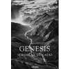 Sebastiano Salgado - GENESIS