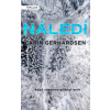 Náledí