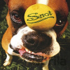 Snot: Get Some / Prod By T-Ray (House of Pain, Helmet) - Snot