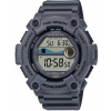 Casio WS-1300H-8A