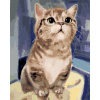 Zuty Maľovanie podľa čísel - Zvedavá mačka
