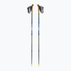 Palice na nordic walking LEKI Traveller FX.One Carbon tmavomodro-strieborné 6532582111