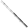 Daiwa BG Boat 2,1m 150-400g 2 diely
