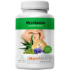MycoMedica MycoGastro 90g - vo forme prášku