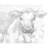 ZUTY Bodkovanie - KRAVA MEDZI ŽLTÝMI KVETMI Rámovanie: vypnuté plátno na rám, Rozmer: 80x100 cm
