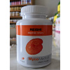 REISHI 90 KAPSLÍ | MycoMedica