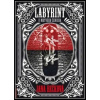 Labyrint u Mrtvého ženicha - Rečková Jana