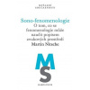 Sono-fenomenologie - Martin Nitsche