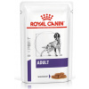 Royal Canin VHN DOG RENAL GRAVY kapsičky 12 x 100 g