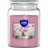 Bispol Aura Maxi Spa Garden 500 g