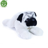 Plyšový mops 58 cm - plyšové hračky