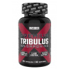 Premium Tribulus 90 kaps. Weider