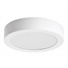 RABALUX Stropné svietidlo Shaun 2 – 15 W LED – 1450 lm – 3000 K – IP20