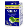 GS Ginkgo 60 mg s horčíkom 2024 120 tabliet