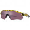 OAKLEY Radar EV Path TDF Collection Splatter Prizm Road Black