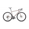 Specialized Aethos Pro - Shimano Ultegra Di2 Gloss Champagne/Smoke Veľkosť: 58