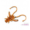 Delphin Umělá nástraha B! Stinx Nympha Fruity 2,5 cm 20 ks