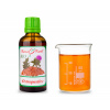 OSTROPESTŘEC BIO - bylinné kapky - tinktura 50 ml BYLINNÉ KAPKY