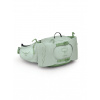 Ladvinka dámska Osprey Tempest 6 - frosty mint green botanica