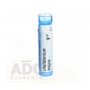 Chelidonium Majus gra.1 x 4 g 9CH