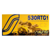 Reťaz 530RTG1, SUNSTAR (x-krúžok, farba zlatá, 110 článkov)
