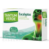 A.C.R.A.F. S.p.A. TANTUM VERDE Eucalyptus - 1x20 ks