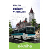 E-kniha Střepy v prachu - Milan Pohl