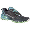 Dámské běžecké boty La Sportiva Bushido II GTX W Carbon