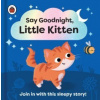 Say Goodnight, Little Kitten