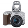 Canon EOS 250D + 18-55 IS STM - stříbrná