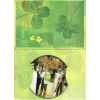 Báječní muži s klikou ( dárkový papír obal ) DVD