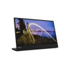 Lenovo ThinkVision M15 39,6 cm (15.6