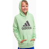adidas Big Logo Hoodie Jr IS2591