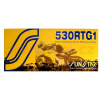 Reťaz 530RTG1, SUNSTAR (x-krúžok, farba zlatá, 108 článkov)