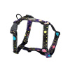 Postroj pre psa BeSpace S - Milkyway Amiplay